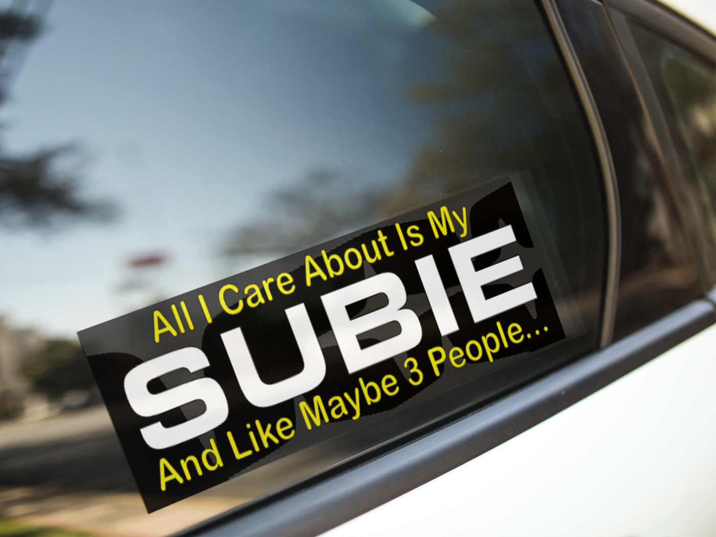 SLAP ALL I CARE SUBIE